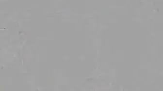 Lara Loxley Black brunette