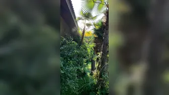 OnlyFans Jewelz Blu @jewelzblu perfect slut caresses beautiful boobs