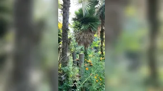 OnlyFans Jewelz Blu @jewelzblu perfect slut caresses beautiful boobs