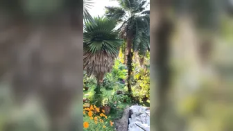 OnlyFans Jewelz Blu @jewelzblu perfect slut caresses beautiful boobs