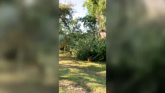 OnlyFans Jewelz Blu @jewelzblu perfect slut caresses beautiful boobs