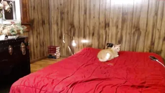 pixie_and_silvio sweet beauty in white lingerie dances before webcam