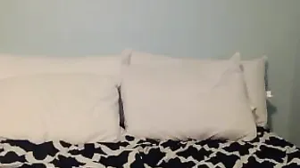 queenemi Booby chick