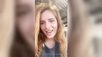 Bella Heifers with