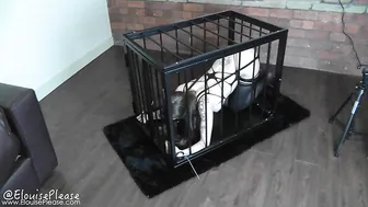 Elouise Please onlyfans slut in stockings erotically takes off her panties