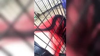 CHASTITY QUEEN onlyfans busty young lady removes her panties