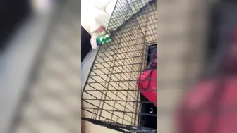 CHASTITY QUEEN onlyfans busty young lady removes her panties