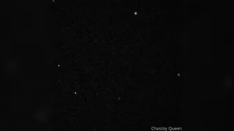 CHASTITY QUEEN onlyfans Blonde babe