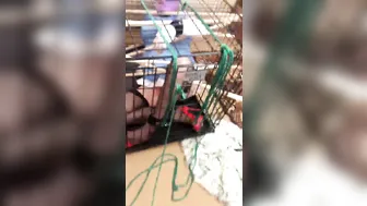 CHASTITY QUEEN onlyfans naked bitch