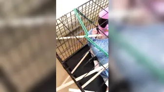 CHASTITY QUEEN onlyfans naked bitch