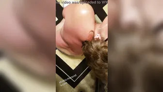 Cherry Bottomz onlyfans sultry confused hard pussy