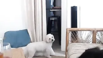 prettykatx0x0 chaturbate Amazing chick