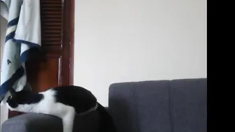 pink_fuck appetizing mare jerking her pussy with a phallus