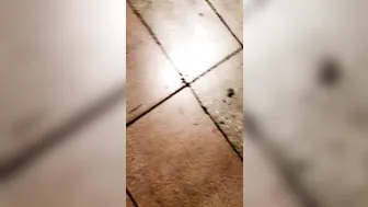 mia malkova onlyfans gorgeous way demonstrates big tits