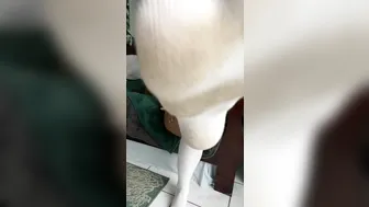 tall tasha onlyfans spicy slut excites puffy forms