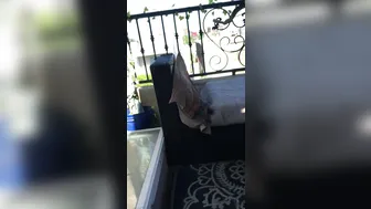 reena sky onlyfans juicy babe caresses pussy