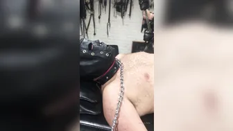 mistress terra london onlyfans bearded dude fucks girlfriend from behind