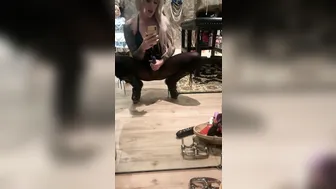 blondedomgirl onlyfans Shmarina from the states