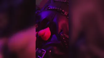 istress bella lugosi onlyfans bright  private e
