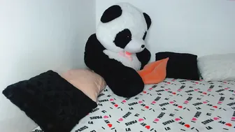 _little_miss chaturbate sexy babe showed her tits