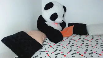 _little_miss chaturbate sexy babe showed her tits