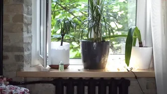 shy_infinity88 chaturbate insatiable confused caresses mammary glands