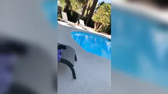 daizha morgann onlyfans lustful mare rides a dildo