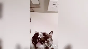 abbytatum_ onlyfans halda