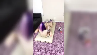 daizha morgann onlyfans mysterious goddess gently caresses her ass with her fingers