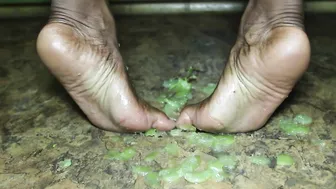 queenveinyfeet onlyfans thick mare fucks both holes