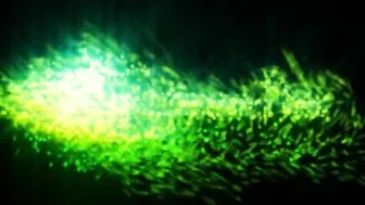 daizha morgann onlyfans beautiful bitch shows shaved holes