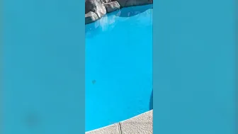 daizha morgann onlyfans 11 February 2020