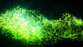 daizha morgann onlyfans appetizing babe shows her tits