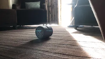 mia rose onlyfans busty bitch exposes her charms