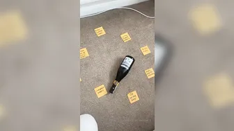 charlie rose onlyfans delicious bitch pulls her holes