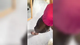 charlie rose onlyfans great bitch wore a mask and fucks with a toy