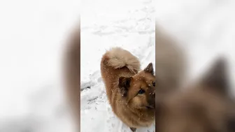 mia rose onlyfans gorgeous body