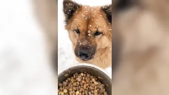 mia rose onlyfans gorgeous body