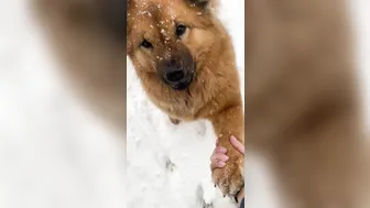 mia rose onlyfans gorgeous body