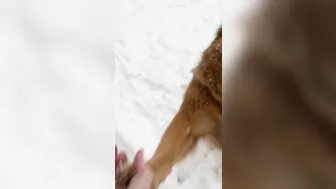 mia rose onlyfans gorgeous body