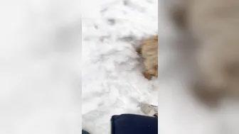 mia rose onlyfans gorgeous body