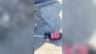 uptownjenny onlyfans Fantastic chick