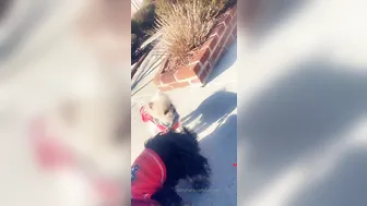 uptownjenny onlyfans Fantastic chick