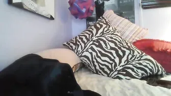 yourbabylynn23 chaturbate dick shows off her shaved cunt