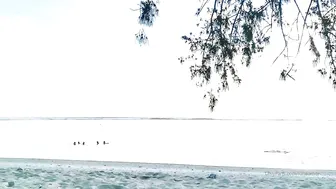 lunaamor manyvids onlyfans lustful lady sucks dick