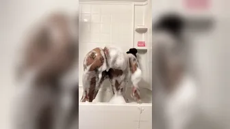 idreamofdmonroe manyvids onlyfans Lovely blond 2