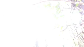 catjira   manyvids onlyfans crazy courtesan jumps on sex toy