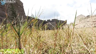 catjira   manyvids onlyfans fucking from behind