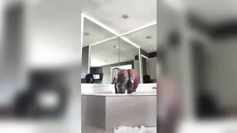 idreamofdmonroe manyvids onlyfans slut satisfied