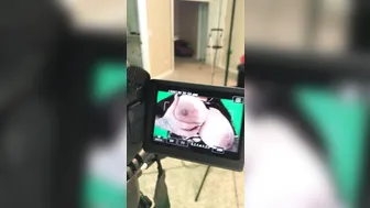 misspoisonxxx manyvids onlyfans dick shows off her shaved cunt